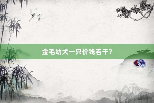 金毛幼犬一只价钱若干？